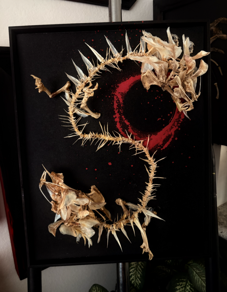 Full image real fish bone Chinese Two Headded Dragon Art