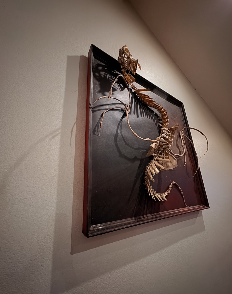 4 foot Dragon Handcrafted from Authentic Cow, Turkey Pig, Chicken and fish Bones by Hybrid Fever Oddities Art