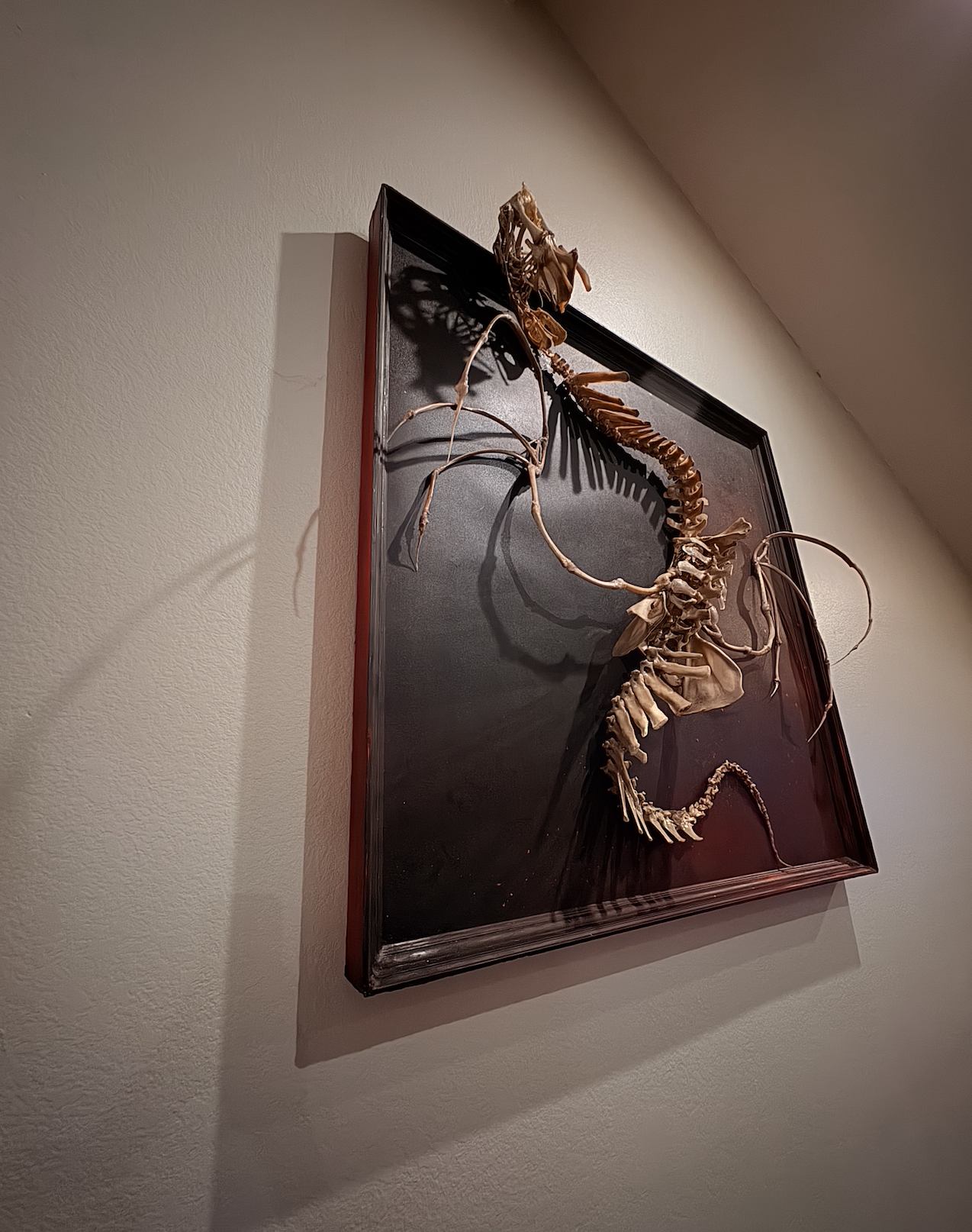 4 foot Dragon Handcrafted from Authentic Cow, Turkey Pig, Chicken and fish Bones by Hybrid Fever Oddities Art