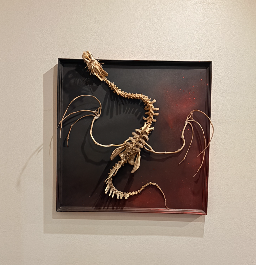 Real Bone Dragon Made from Real Cow Spine